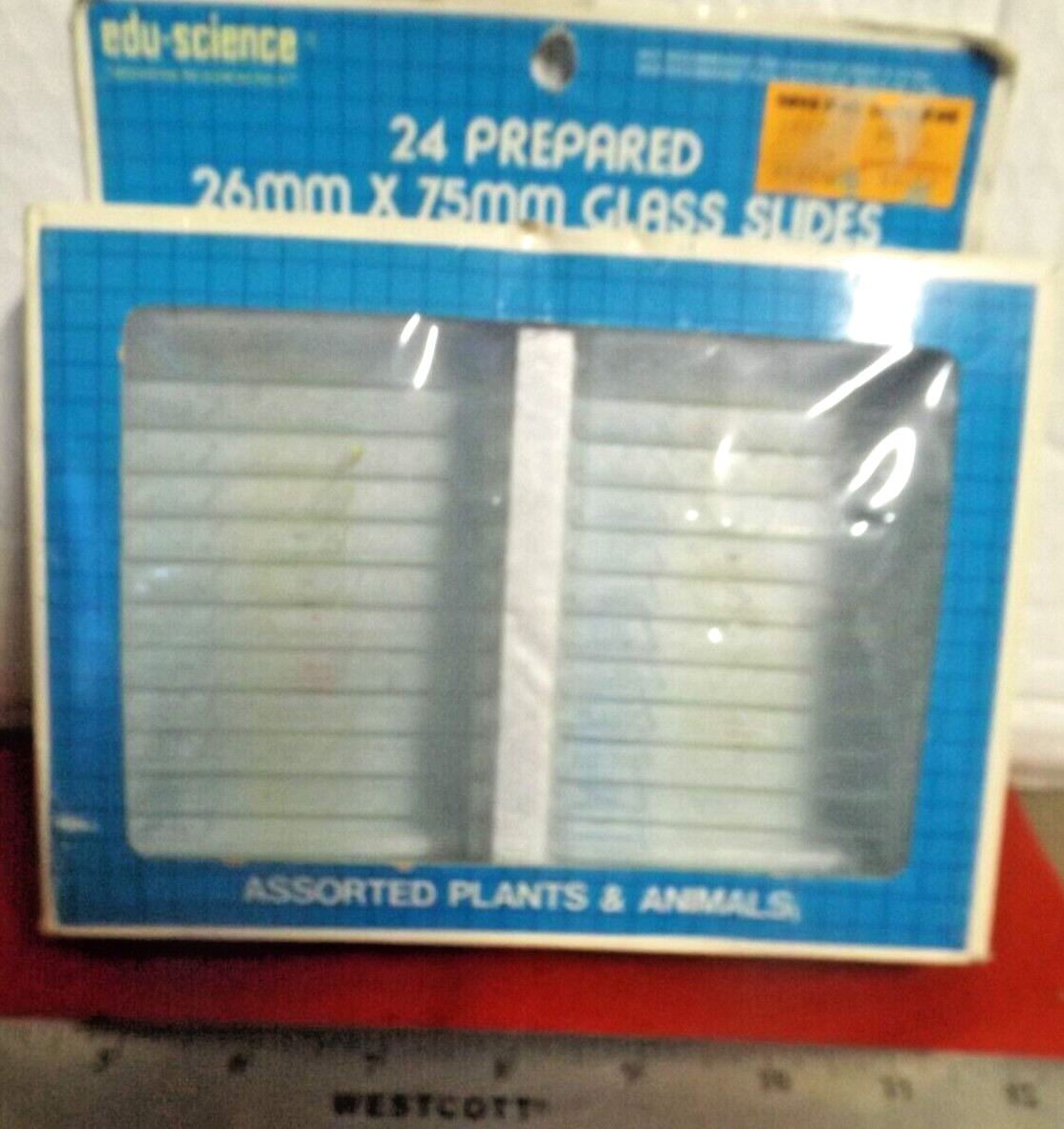 Vintage Edu-Science 24 Prepared Glass Slides Educational Plants & Animals