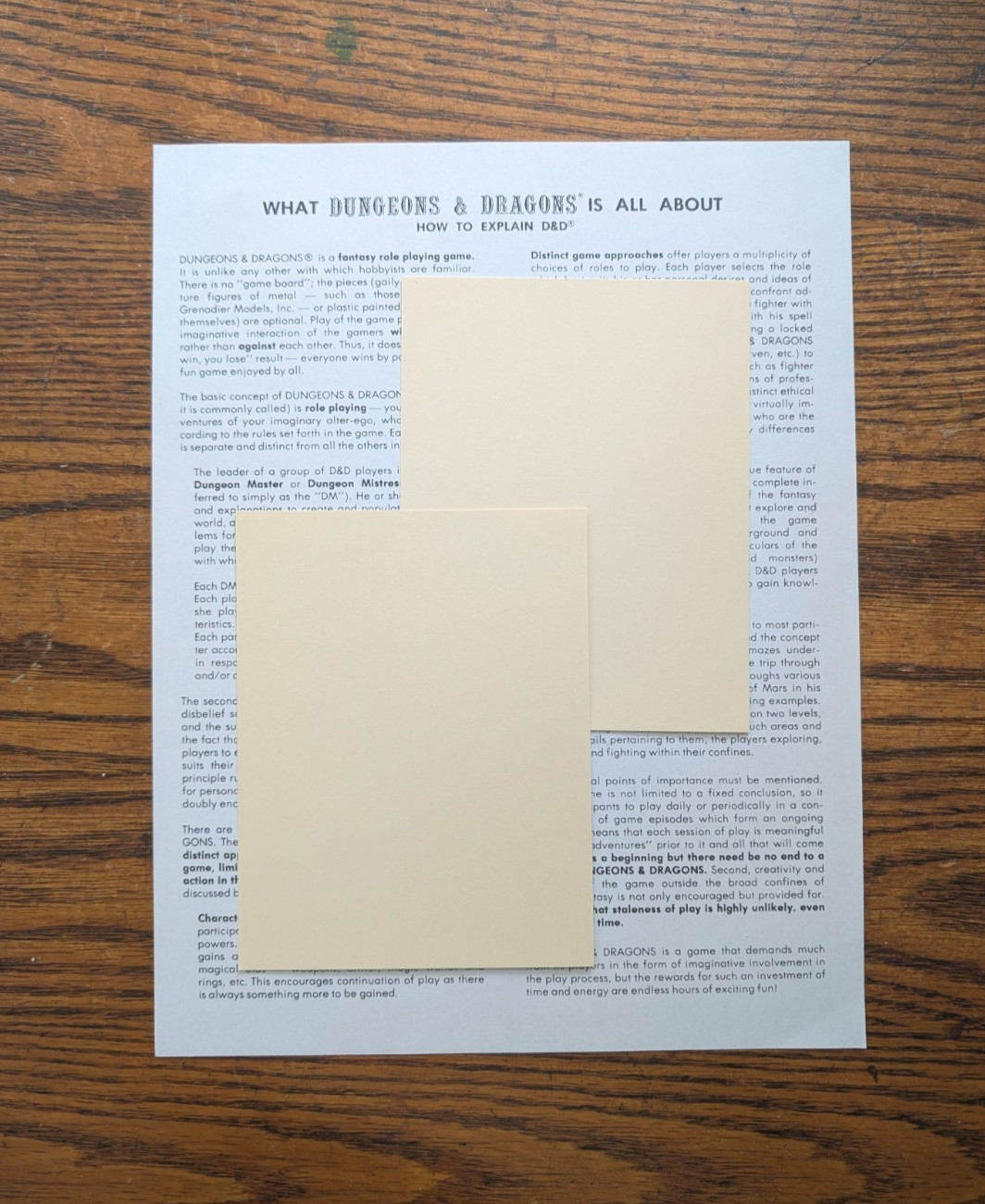 TSR Flyer What Dungeons & Dragons is All About/How to Explain D&D 1979