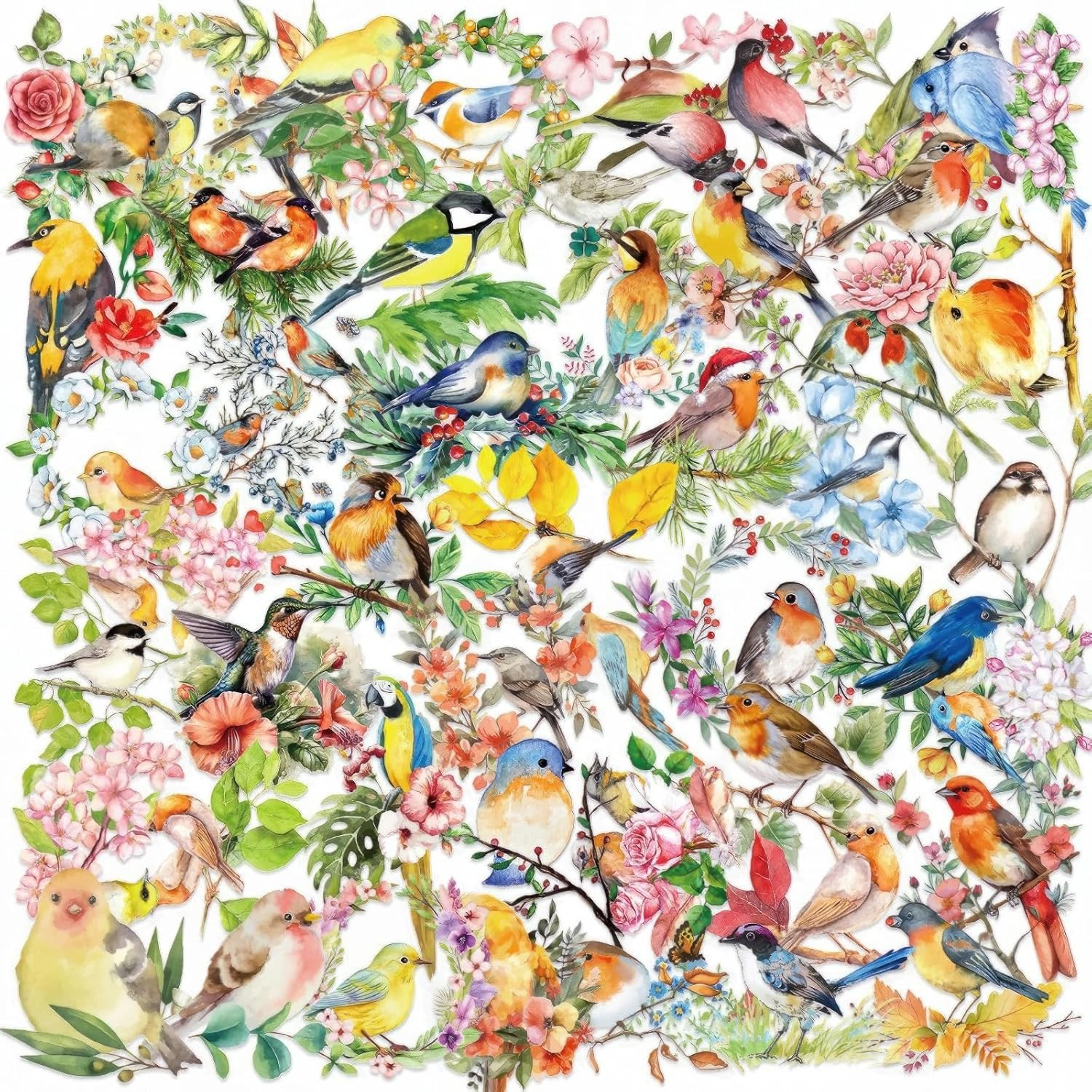 50-Pack Watercolor Bird Transparent Stickers, Waterproof PET Nature Decals for J