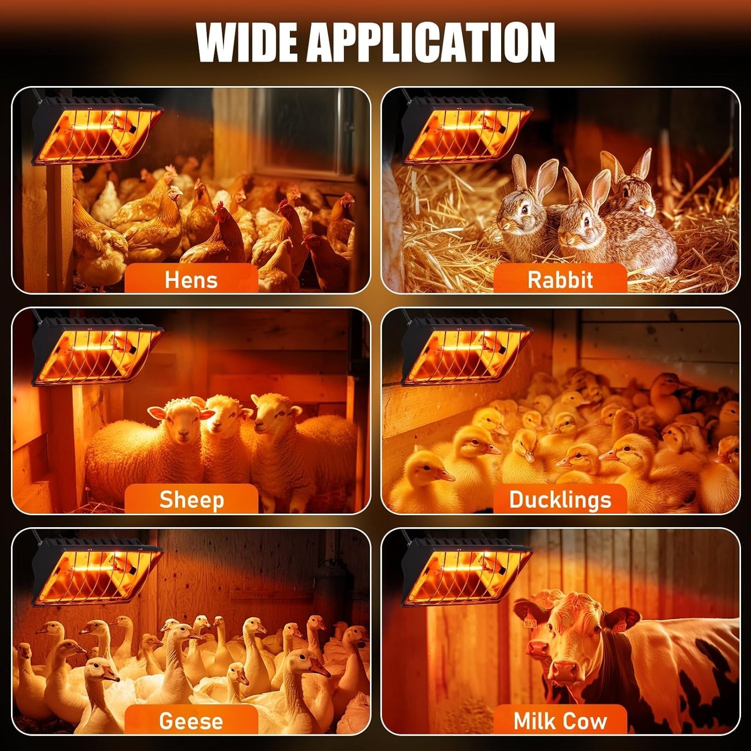 Versatile 250W Chicken Brooder Heater for Indoor Use - Easy Setup & Safety