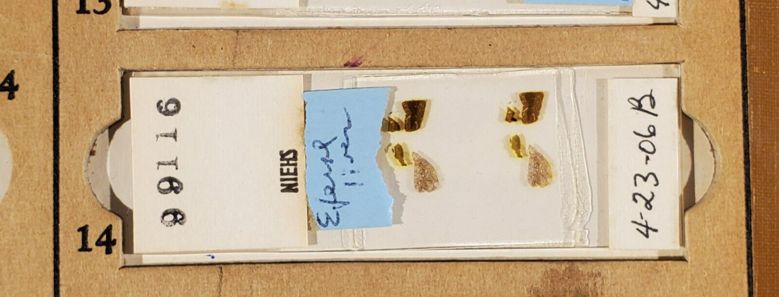 Vintage Microscope Glass Slide ~ NIEHS ~ Histology Pathology ~ Liver 14