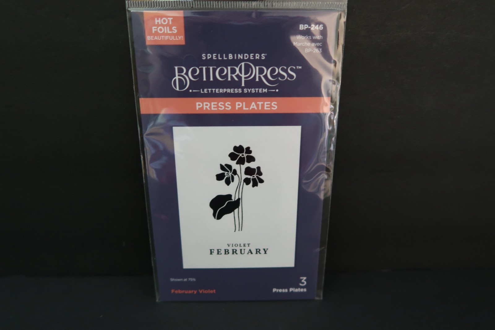 CHOICE Spellbinders BetterPress Press Plates FLORAL FLOWERS WORDS MORE