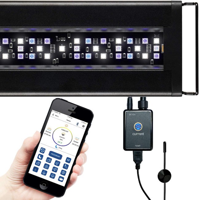 (36"-48") Orbit Marine LED Light w/Mini Bluetooth LOOP App Control (4202) - Cur