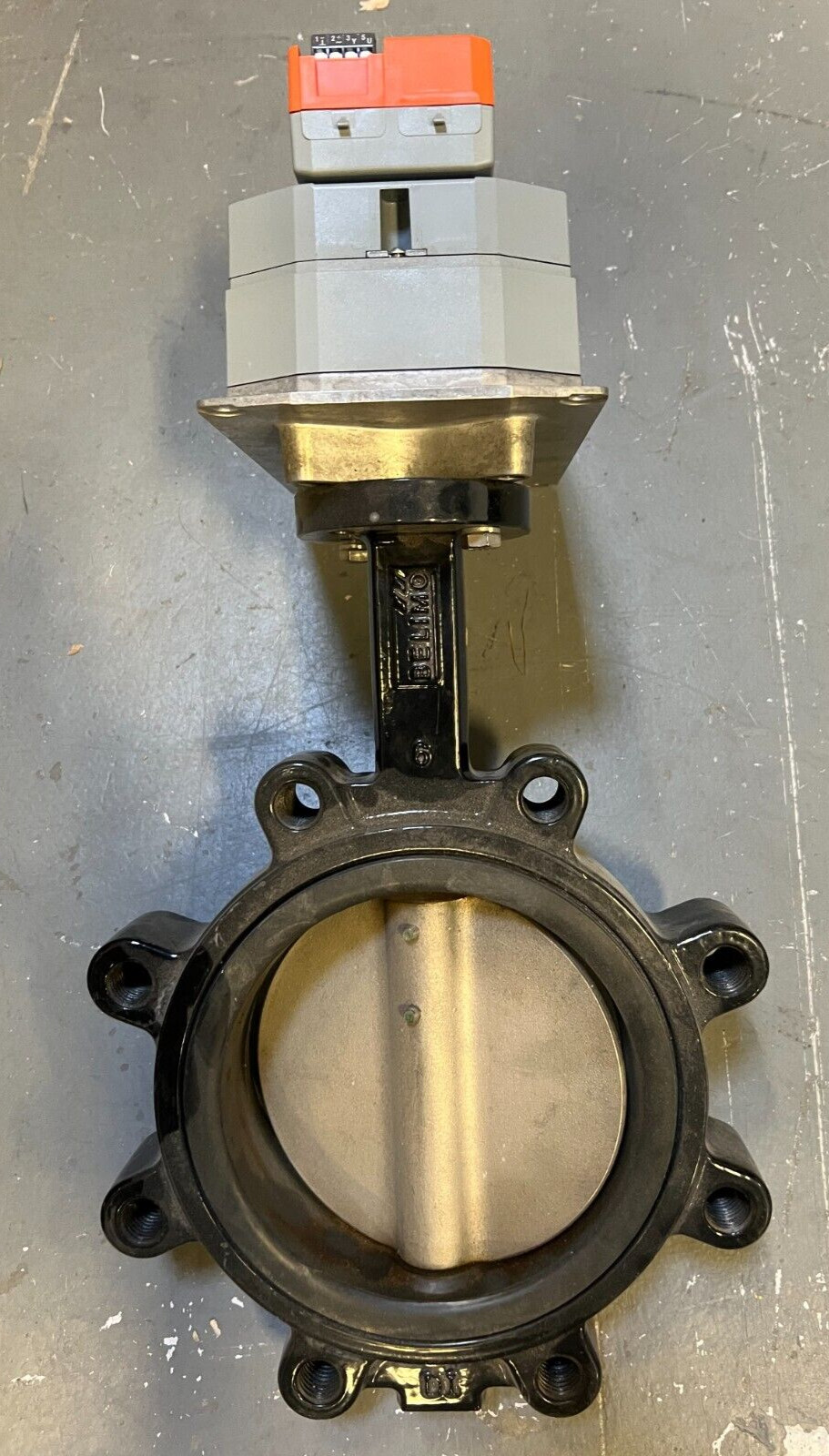 Belimo F6150HDU+DRCX24-3-T Valve and Actuator Assembly