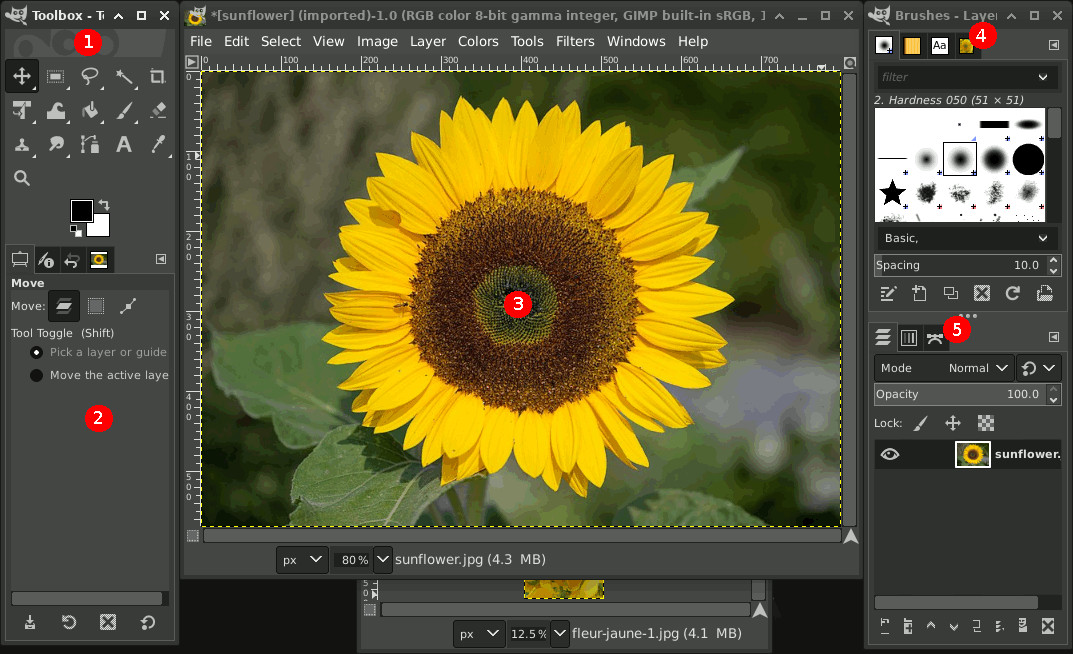 GIMP 3 (2025 Edition) Pro Graphic Design - Image Editing Software Program on CD