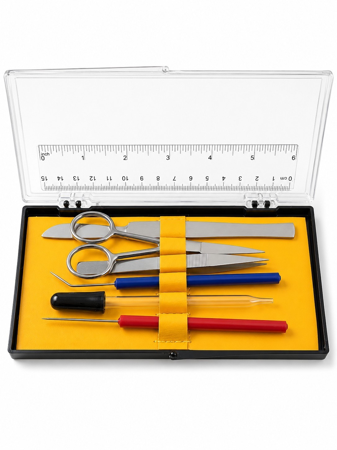 Dissection Kit for Biology Anatomy Students – Surgical Stainless Steel Tools