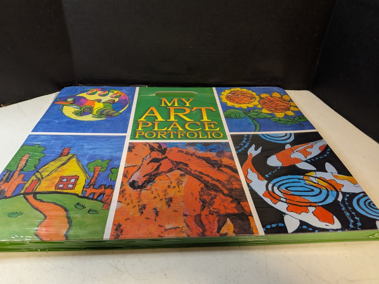 My Art Place Expandable Color-Tabbed Portable Art Storage Portfolio  19" x 15¼"