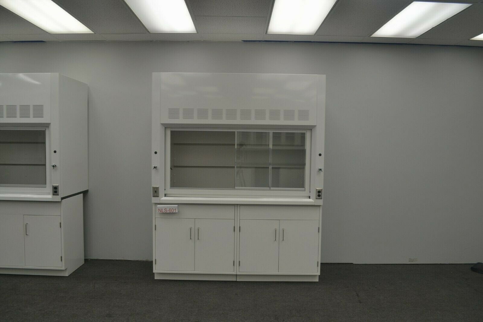 Laboratory 6' Fume Hood Enclosure w/ General Storage / E2-019