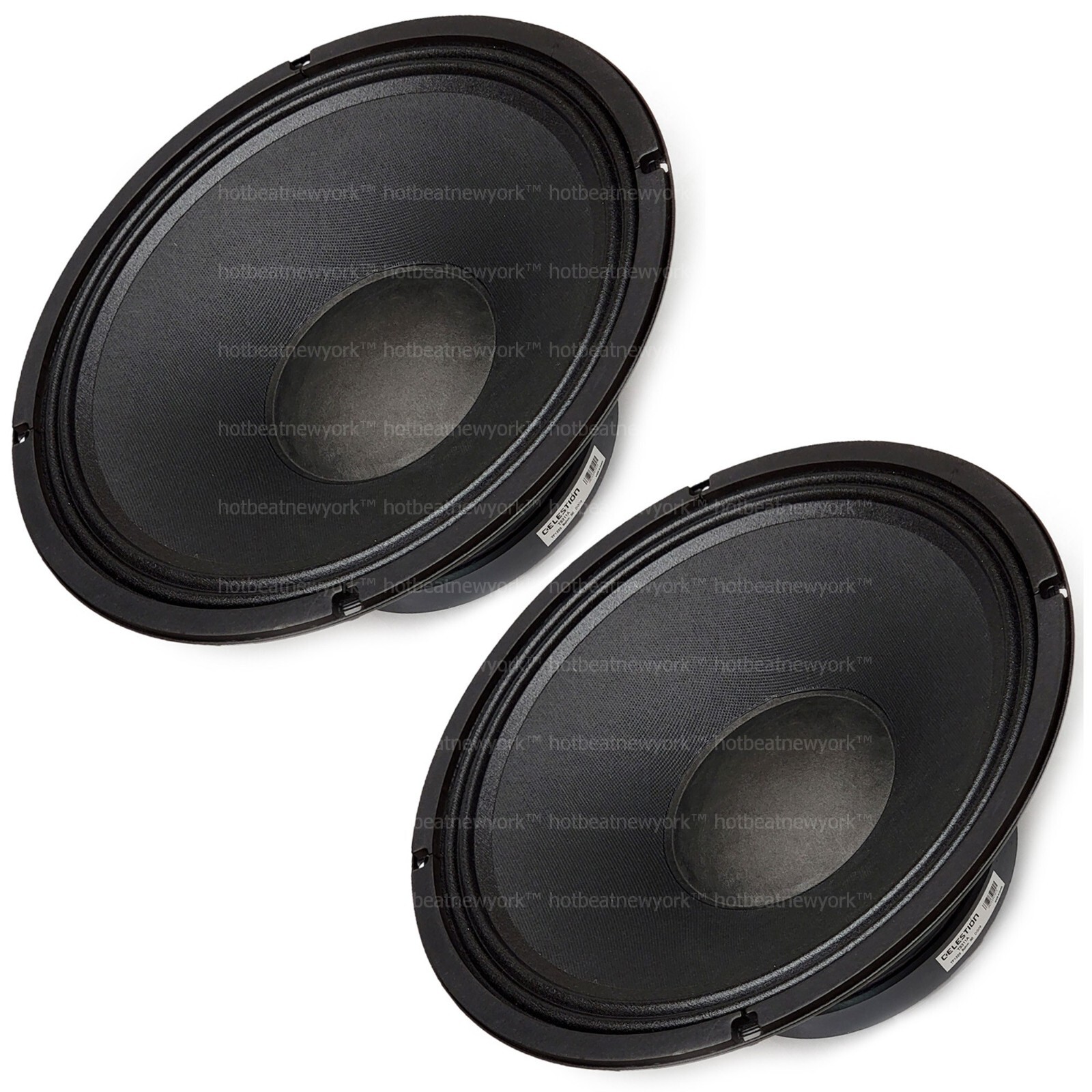 2 x Celestion TF1225 12" 250-Watts RMS (each) 8-ohm Woofer Professional Speakers