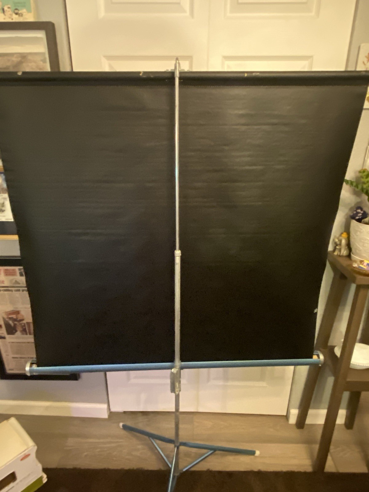 Da-Lite Flyer Projector Screen With Carrier