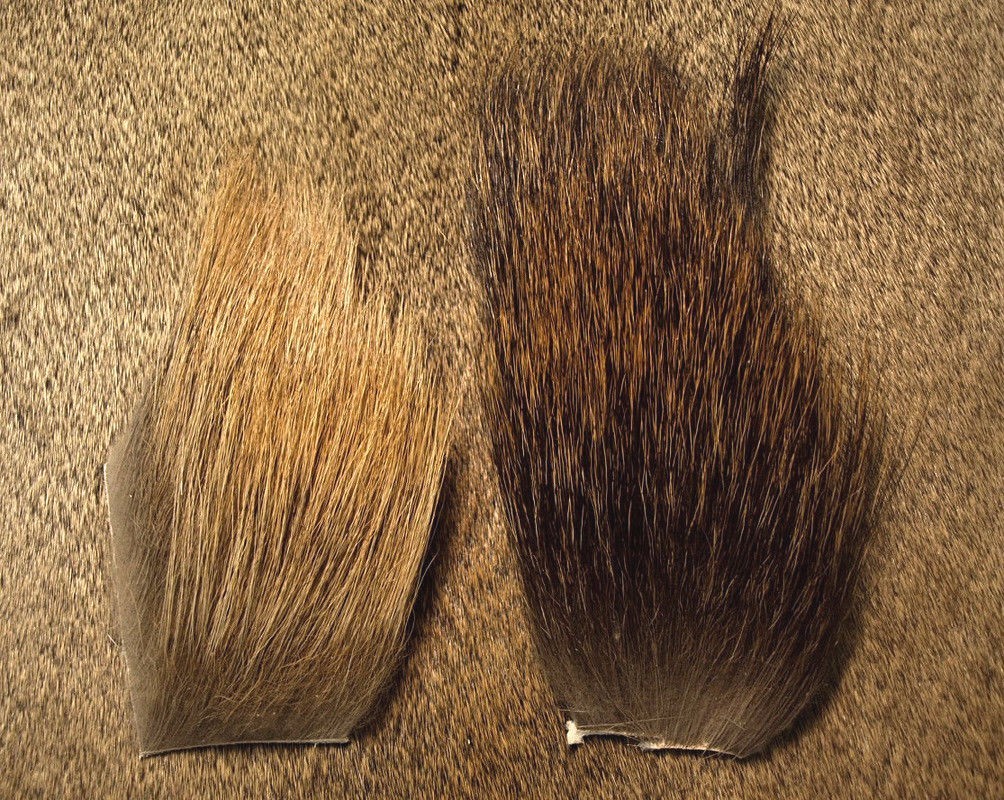 Nature's Spirit CLASSIC BULL ELK MANE Fly Tying Hair