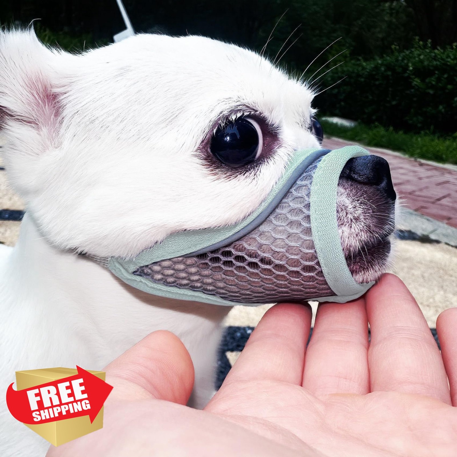 XXS Mint Blue Dog Muzzle Soft Mesh Small Dogs Short Snout