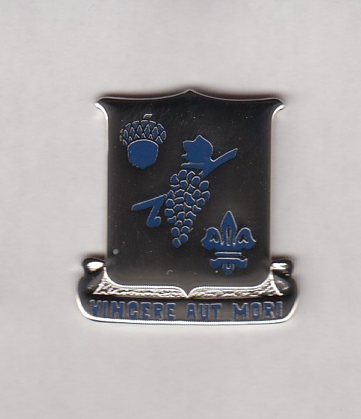 US ARMY 289th INFANTRY REGIMENT crest DUI badge c/b clutchback V-21