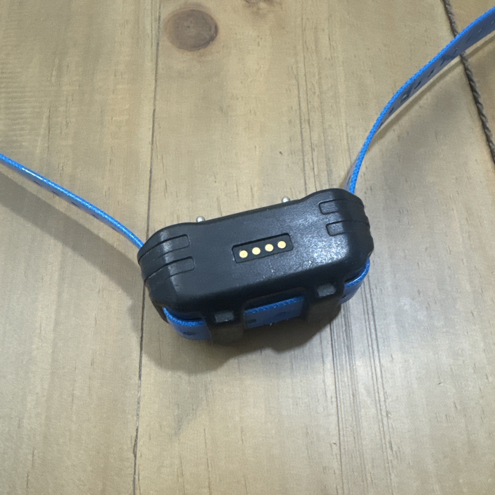 Garmin PT10 Collar AS IS Short Contact Points - Blue Strap