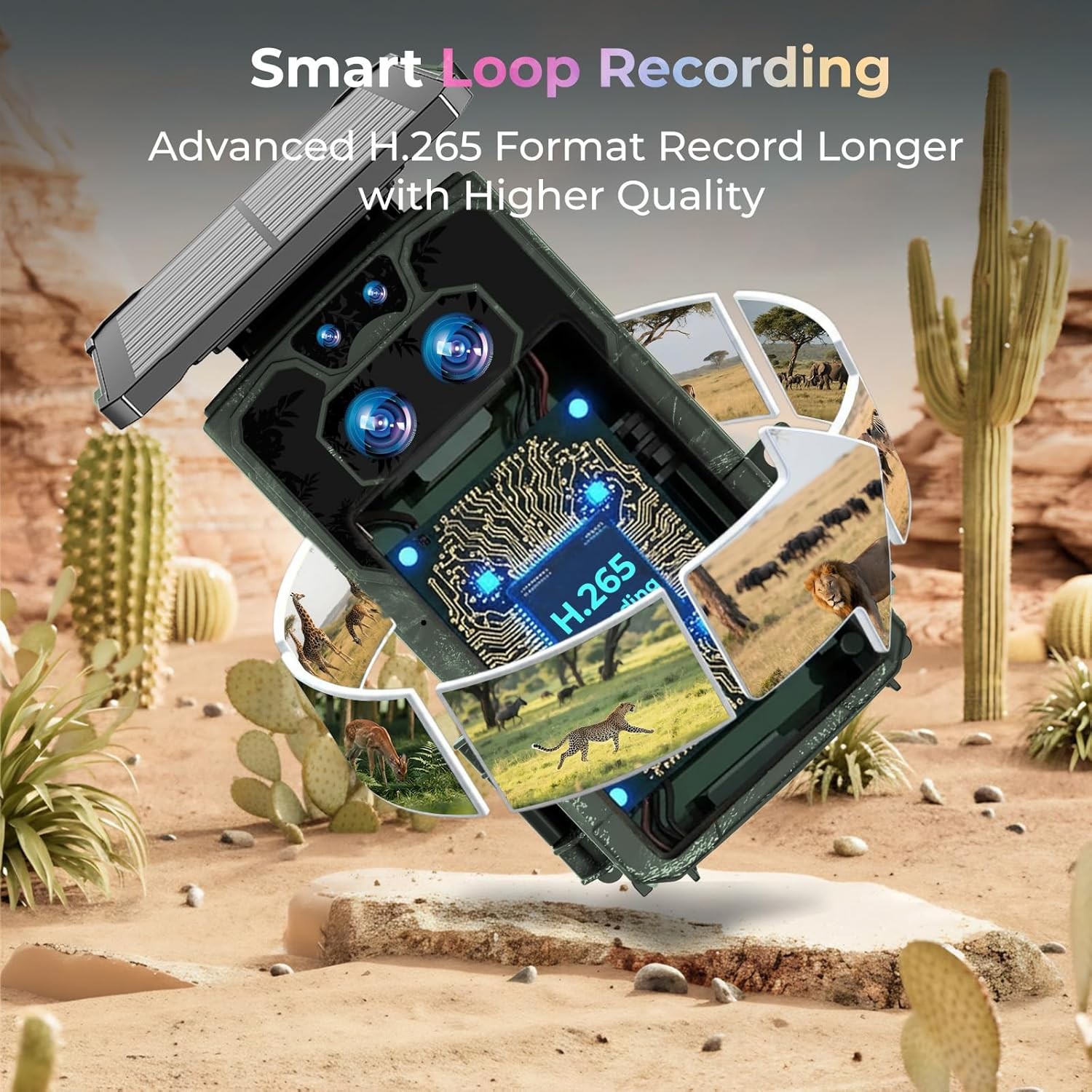 60MP Solar Trail Camera 4K Scouting Wildlife Hunting Game Cam Starlight Vision
