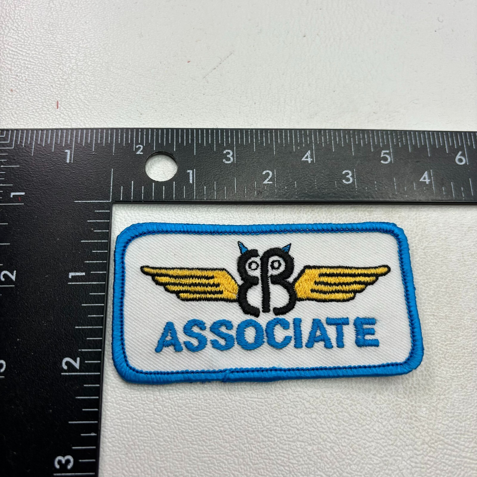 Vintage AIRPLANE WINGS (? EB ASSOCIATE ?) Patch (Airplane, Aircraft Related)O41G