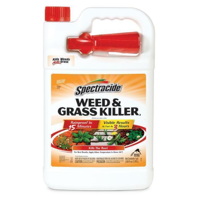 Spectracide Weed & Grass Killer Concentrate - 1 gal