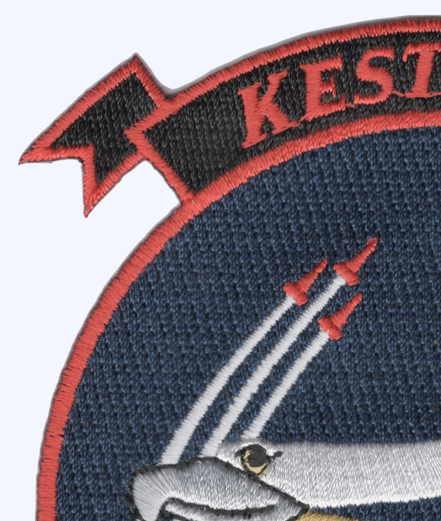 VFA-137 Patch Kestrels