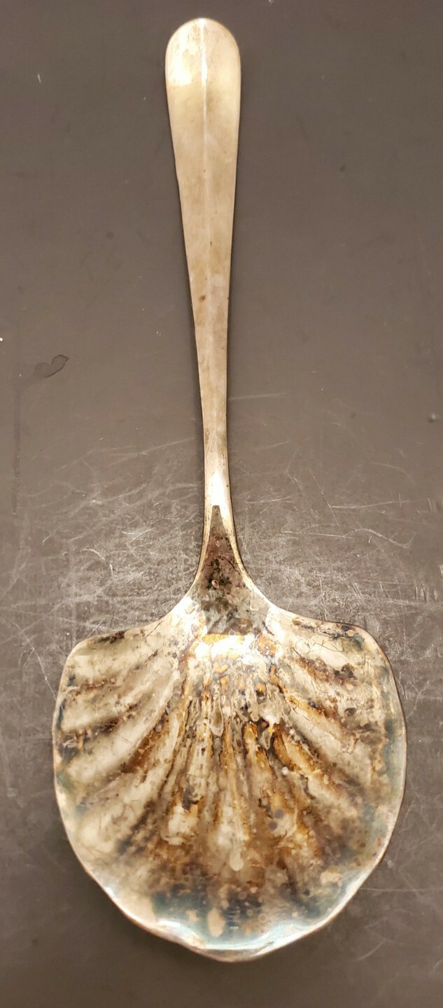 Shell Pattern Serving Spoon Utensil Flatware 9"