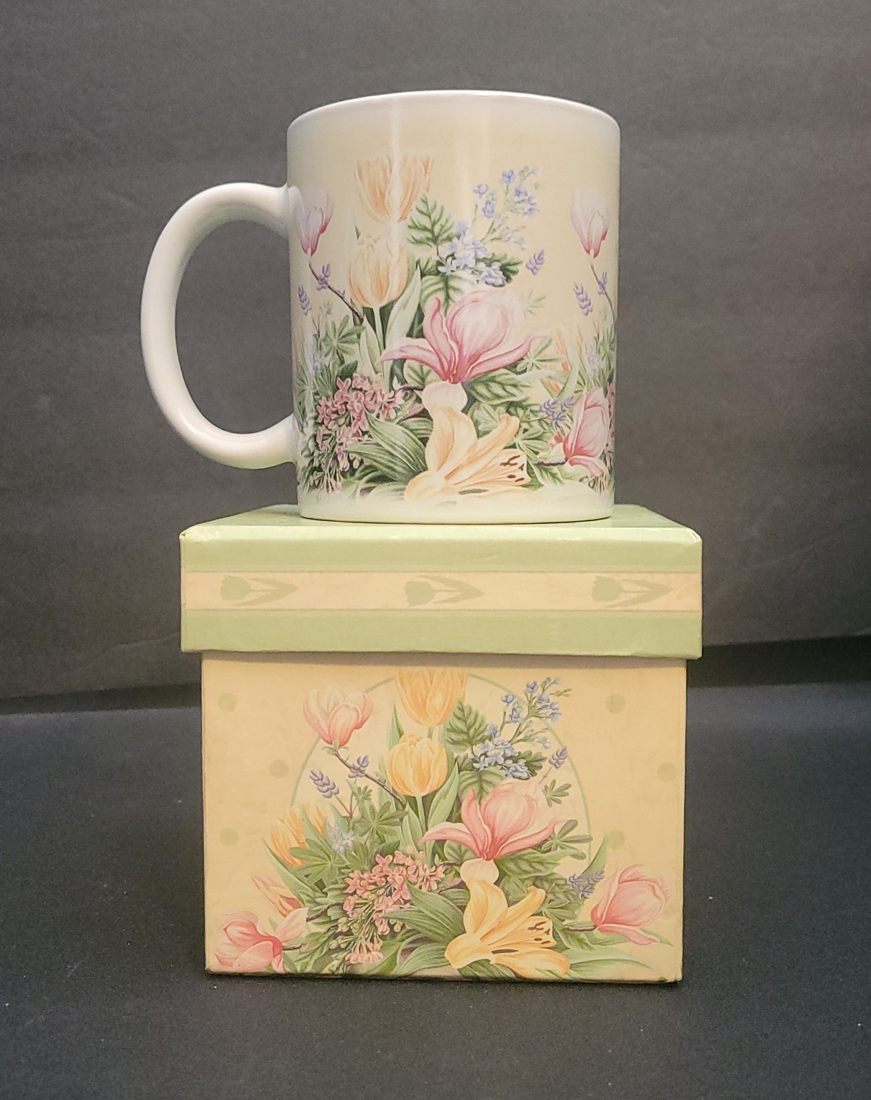 Coffee Mug "Bella Vista" by Revelations. New in Box.