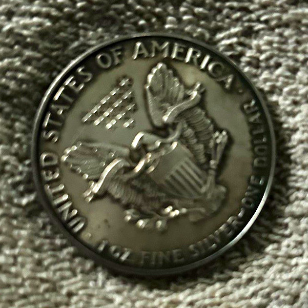 1 Troy ounce of silver
