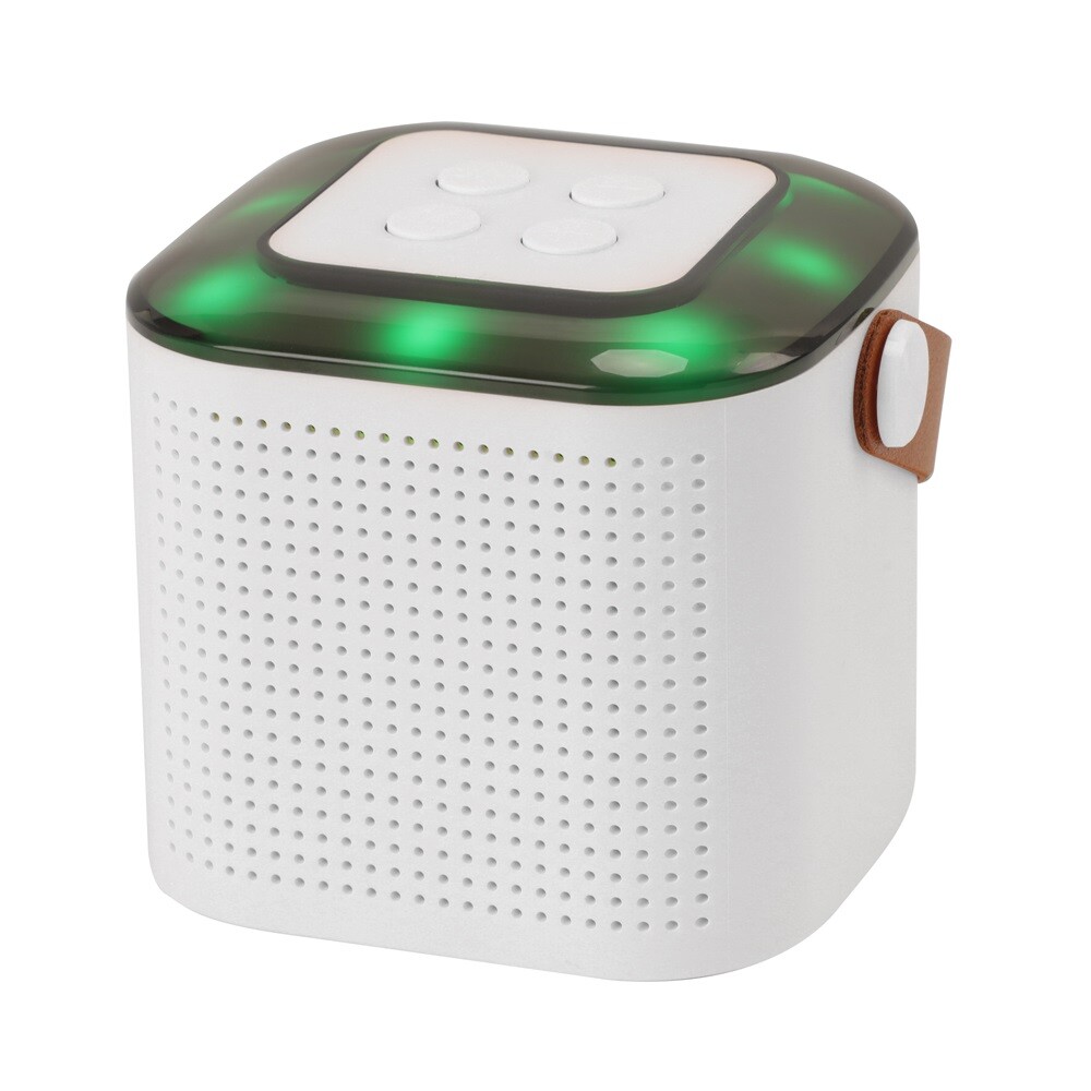 Portable White Bluetooth Karaoke Speaker Machine Kids Mics