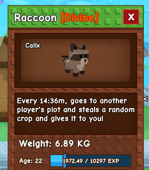 GAG Raccoon