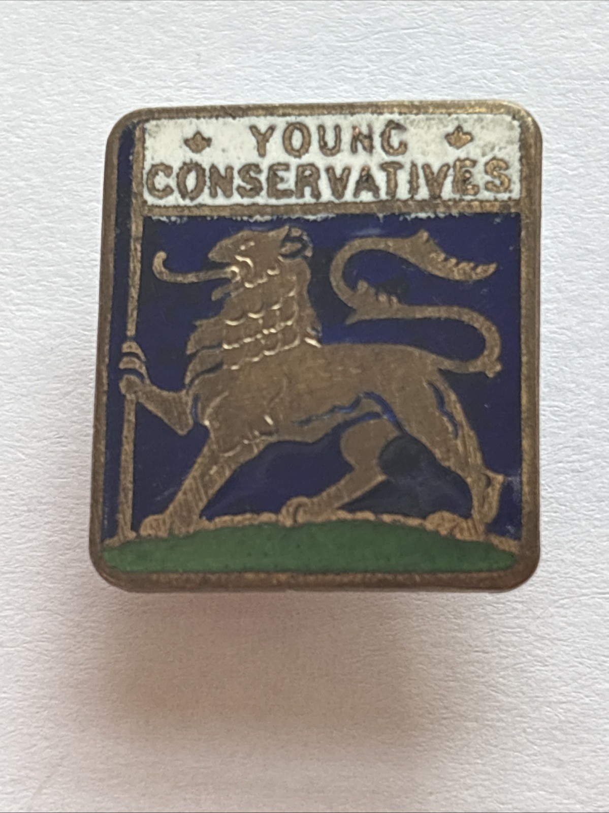 Young Conservatives Metal Badge.