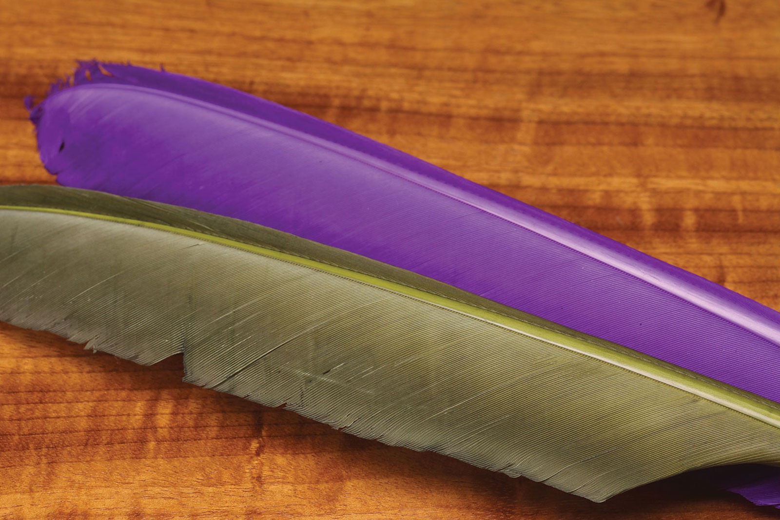 Hareline Turkey Biot Quills