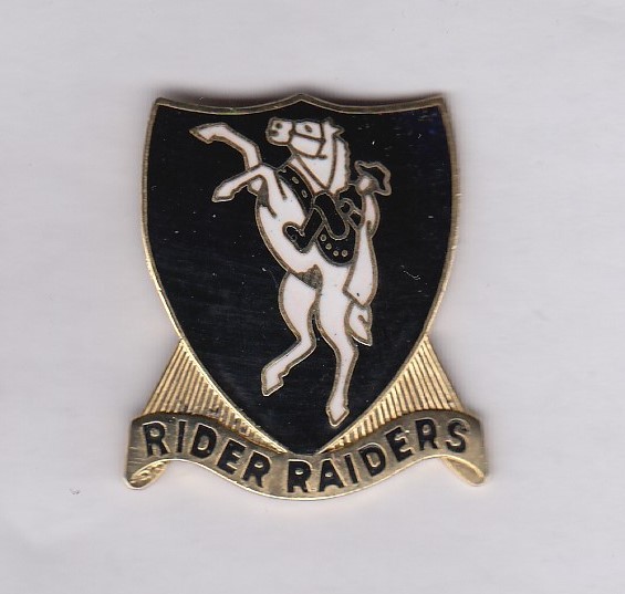 US Army JROTC Rider High School TX crest DUI badge NHM