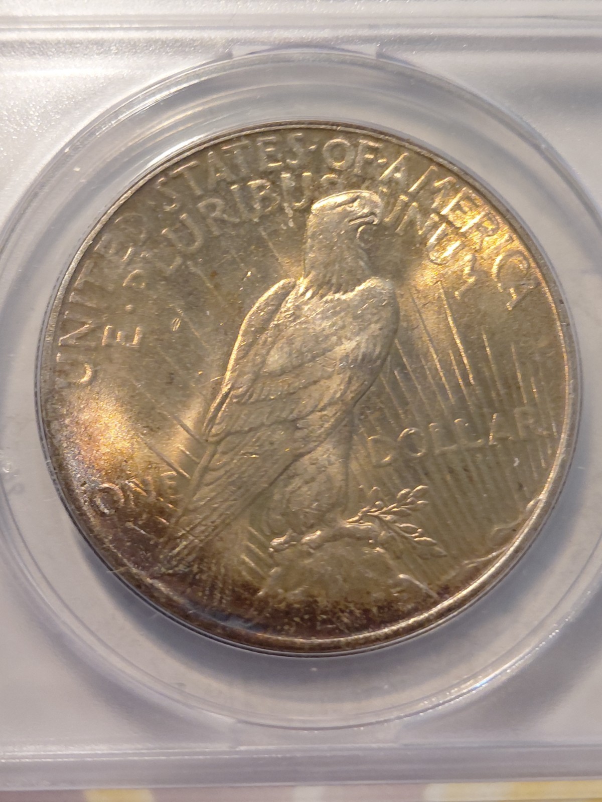 1925 Peace Dollar ANACS MS 63