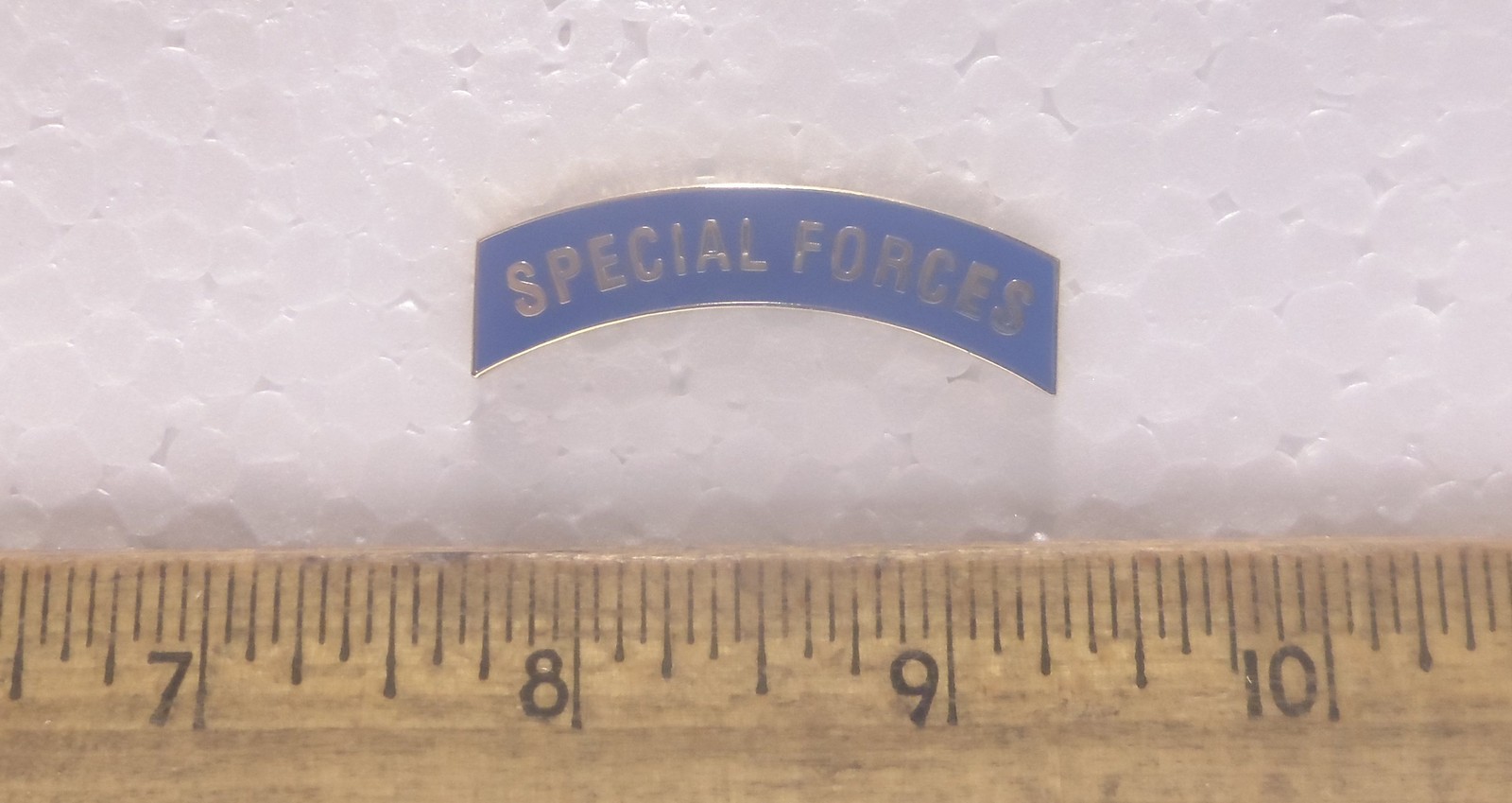 Special Forces Tab Pin