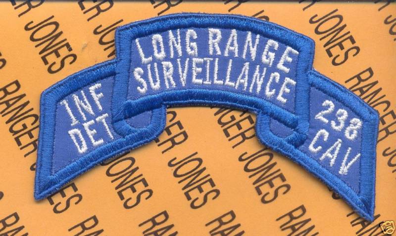 238 Cav Inf Det LRS Airborne Ranger 38 INDARNG patch B
