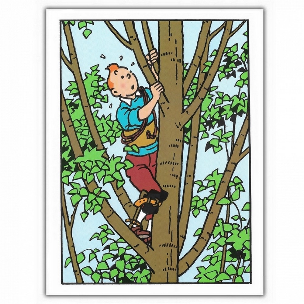 Double postcard Moulinsart Tintin, in the tree (12.5x17.5cm)