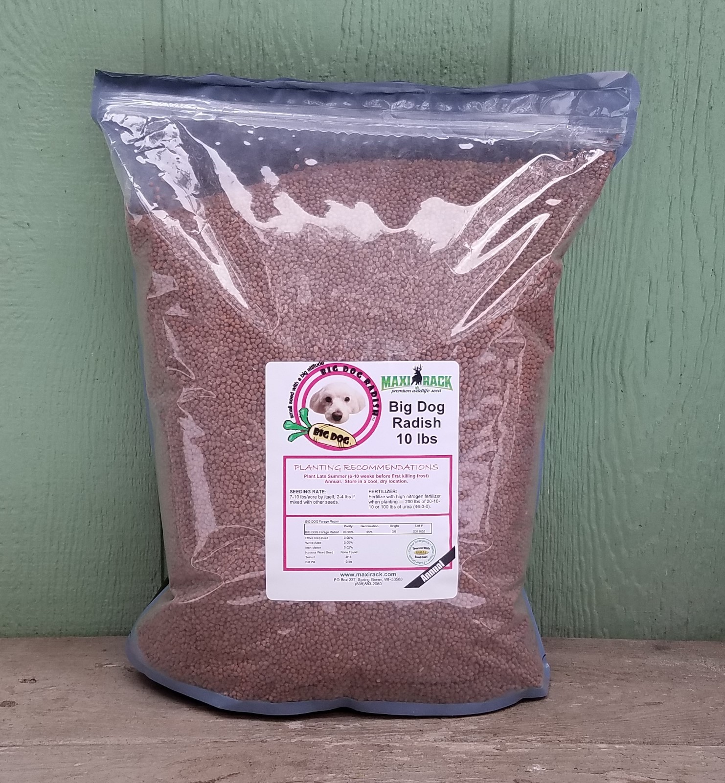 FOOD PLOT seed - 10 lbs BIG Daikon Forage RADISH - HUGE! - MAXI-RACK