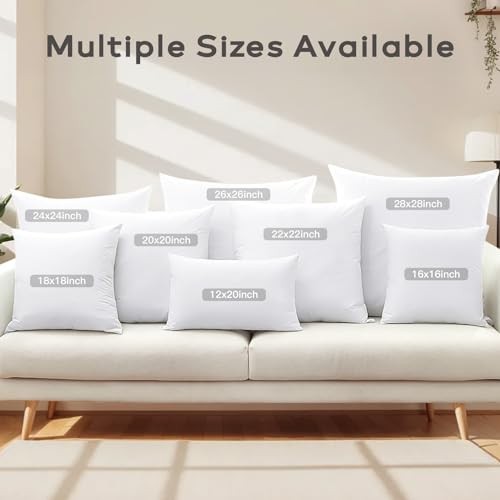 Set of 2 Down and Feather Throw Pillow Inserts 26x26 Soft Fluffy 26x26 Inch