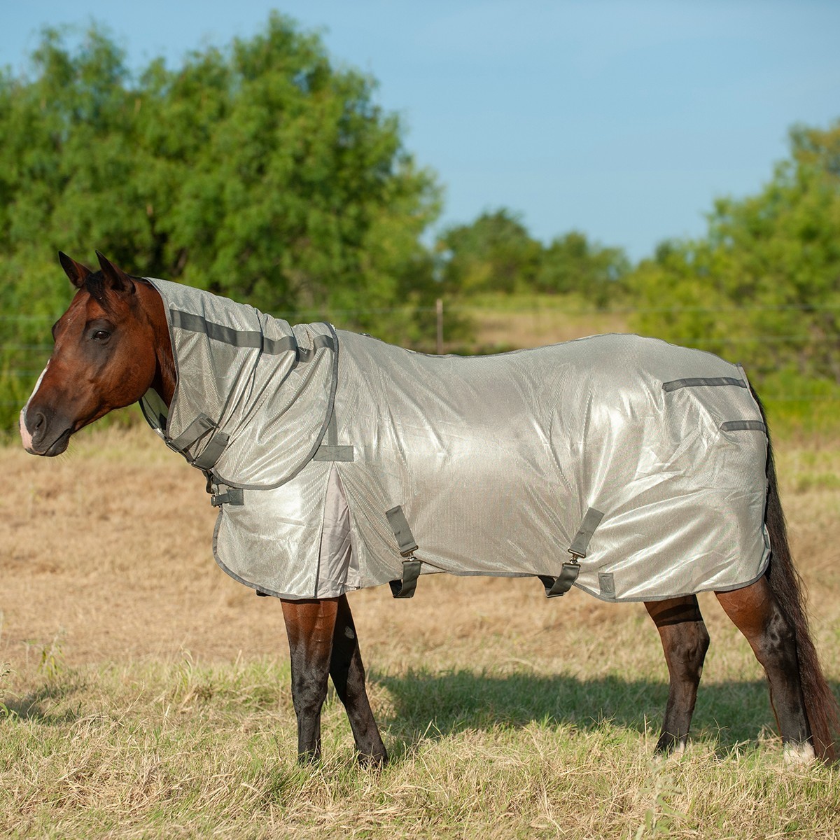 Cashel Econo Fly Sheet with Neck