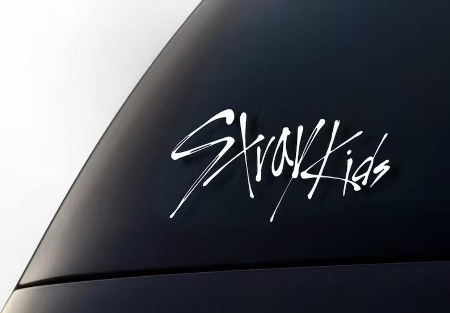STAY Fandom SKZ Decal | Die Cut Vinyl Decal (