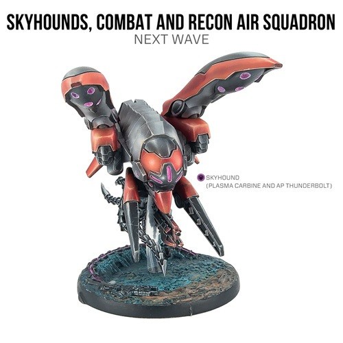 Infinity Skyhounds, Combat and Recon Air Squadron CVB281636-1187  Combined Army