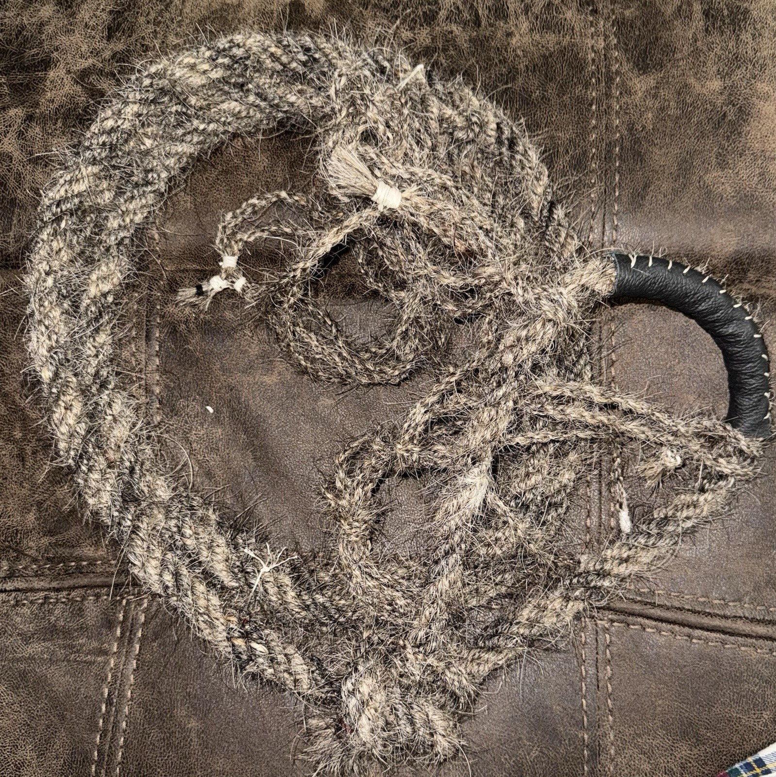 CHARRO CABRESTO BOSALILLO