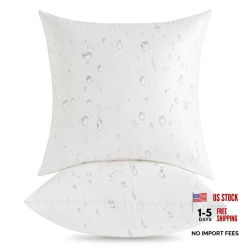 22x22 Outdoor Pillow Inserts (Pack of 2) - Square 22 x 22 (Pack of 2)