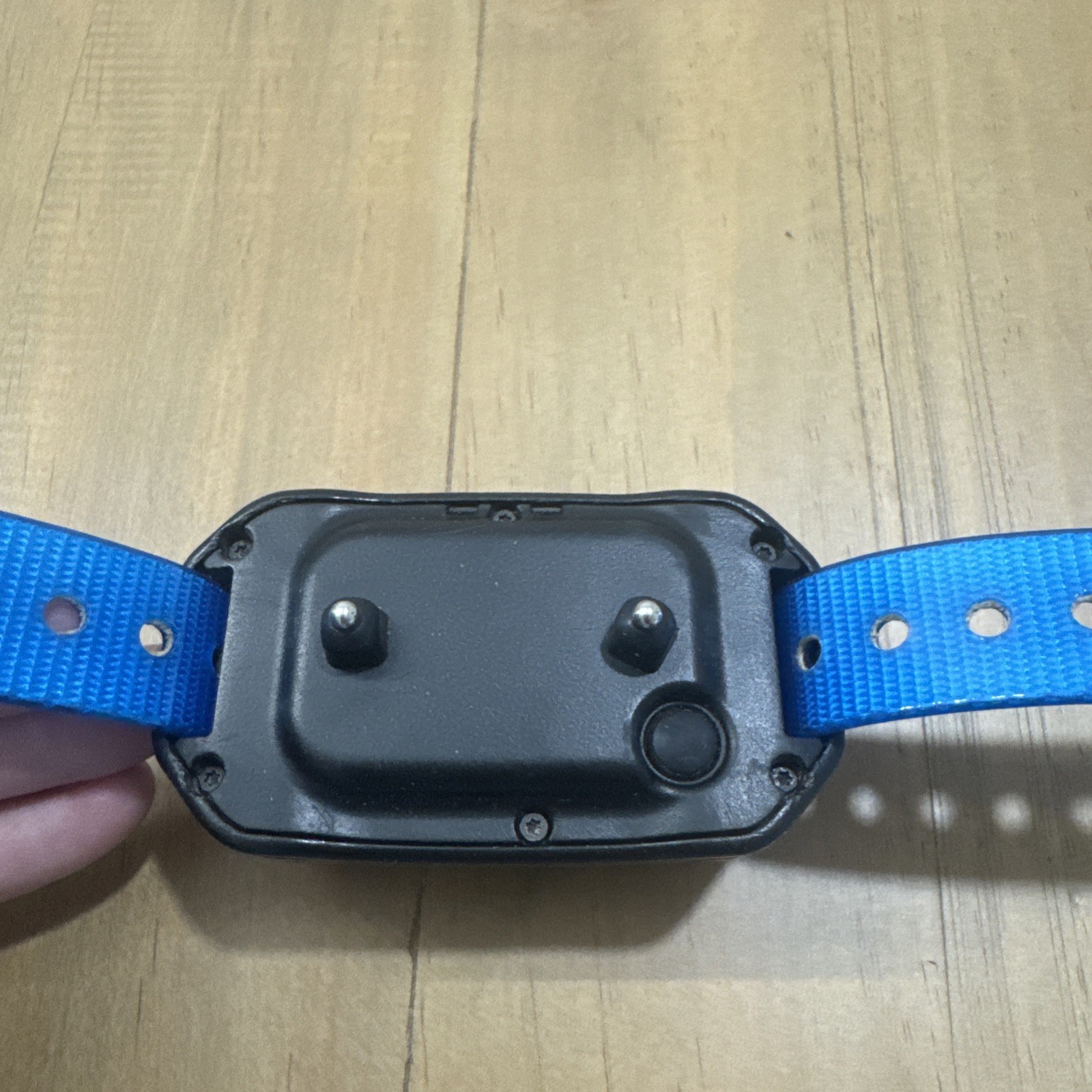 Garmin PT10 Collar AS IS Short Contact Points - Blue Strap