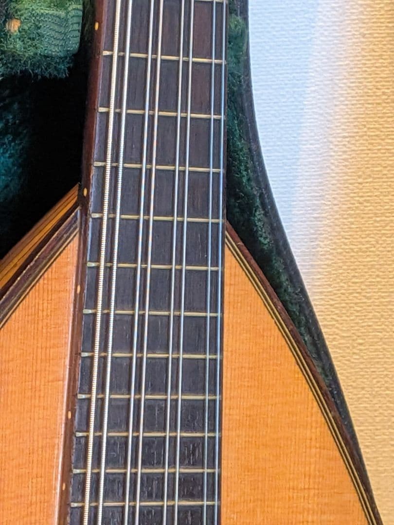 SUZUKI Mandola MD-4 with hard case