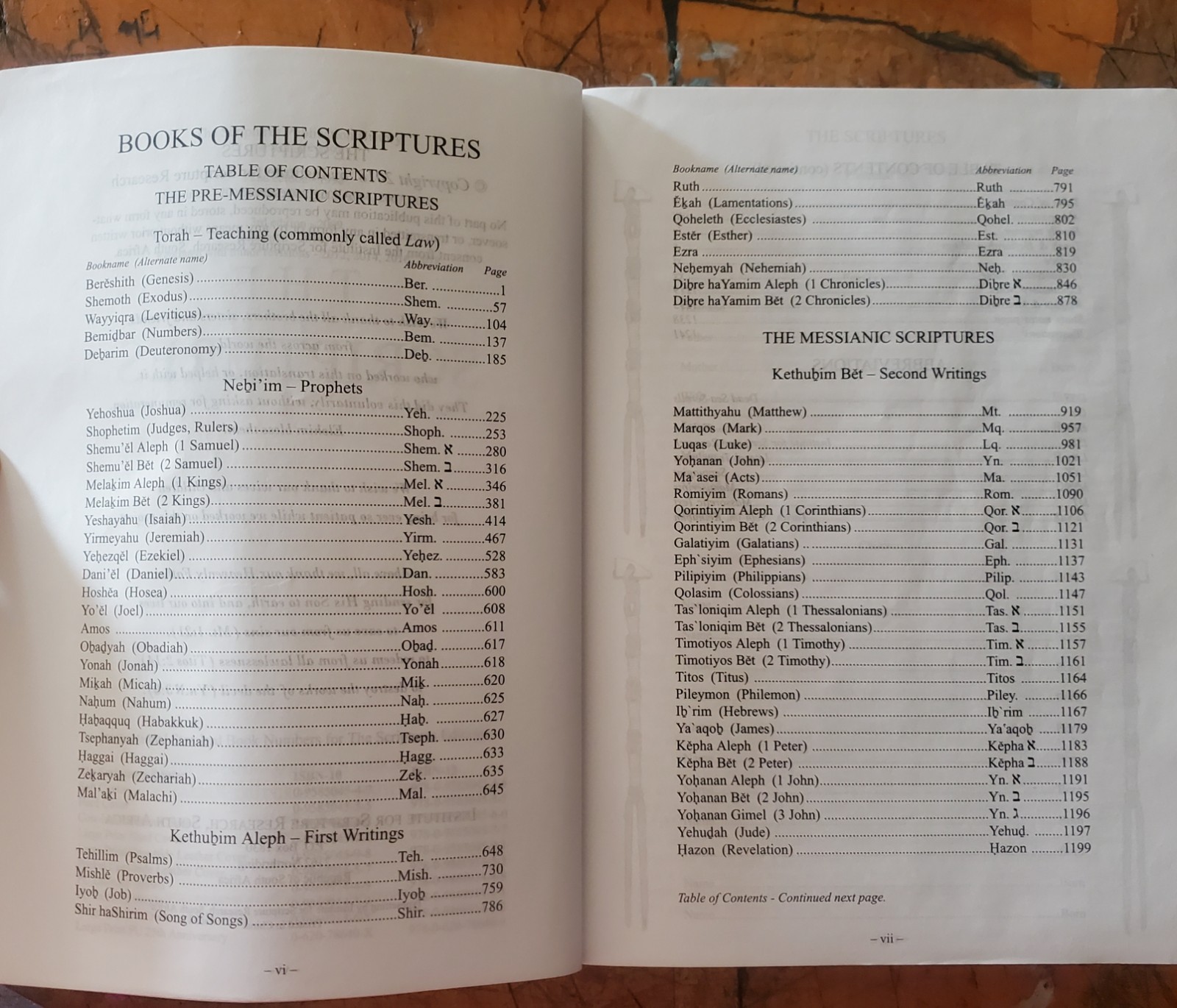 The Scriptures 2009 Version (Soft Cover)