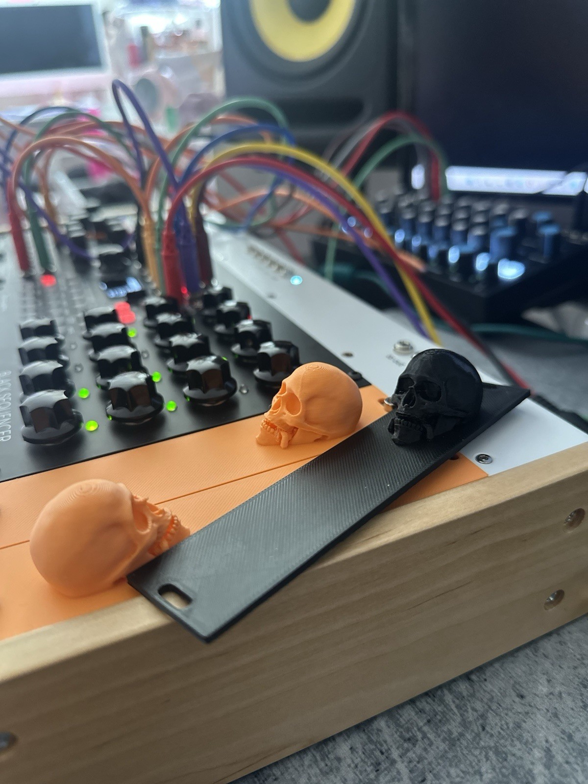 Eurorack Blanks 6hp Module (skull)