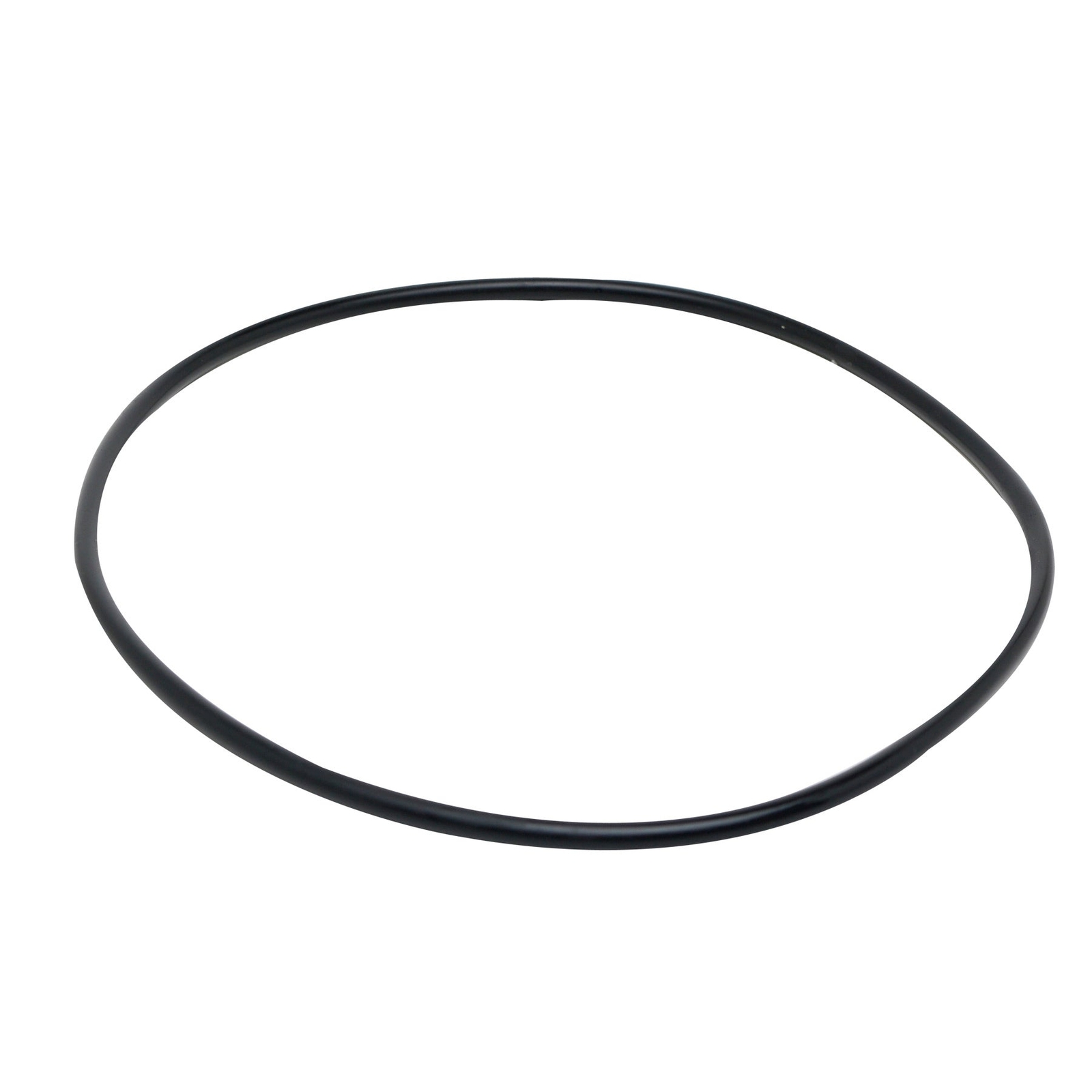 Fluval Motor Seal Ring
