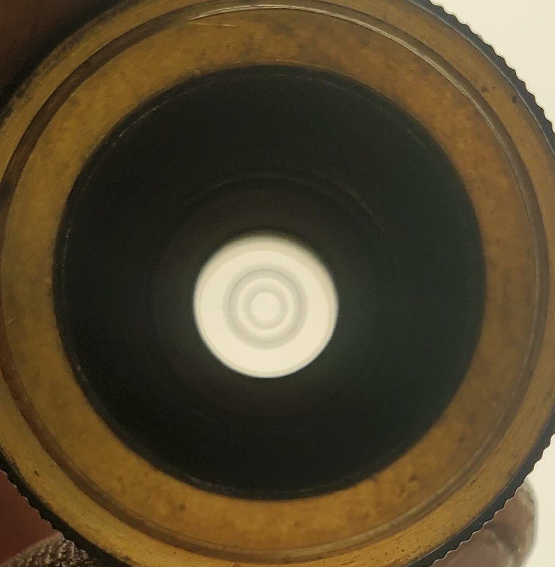 Carl Zeiss Jena Microscope Objective 16x/0.32 - 160/0.17 Phv