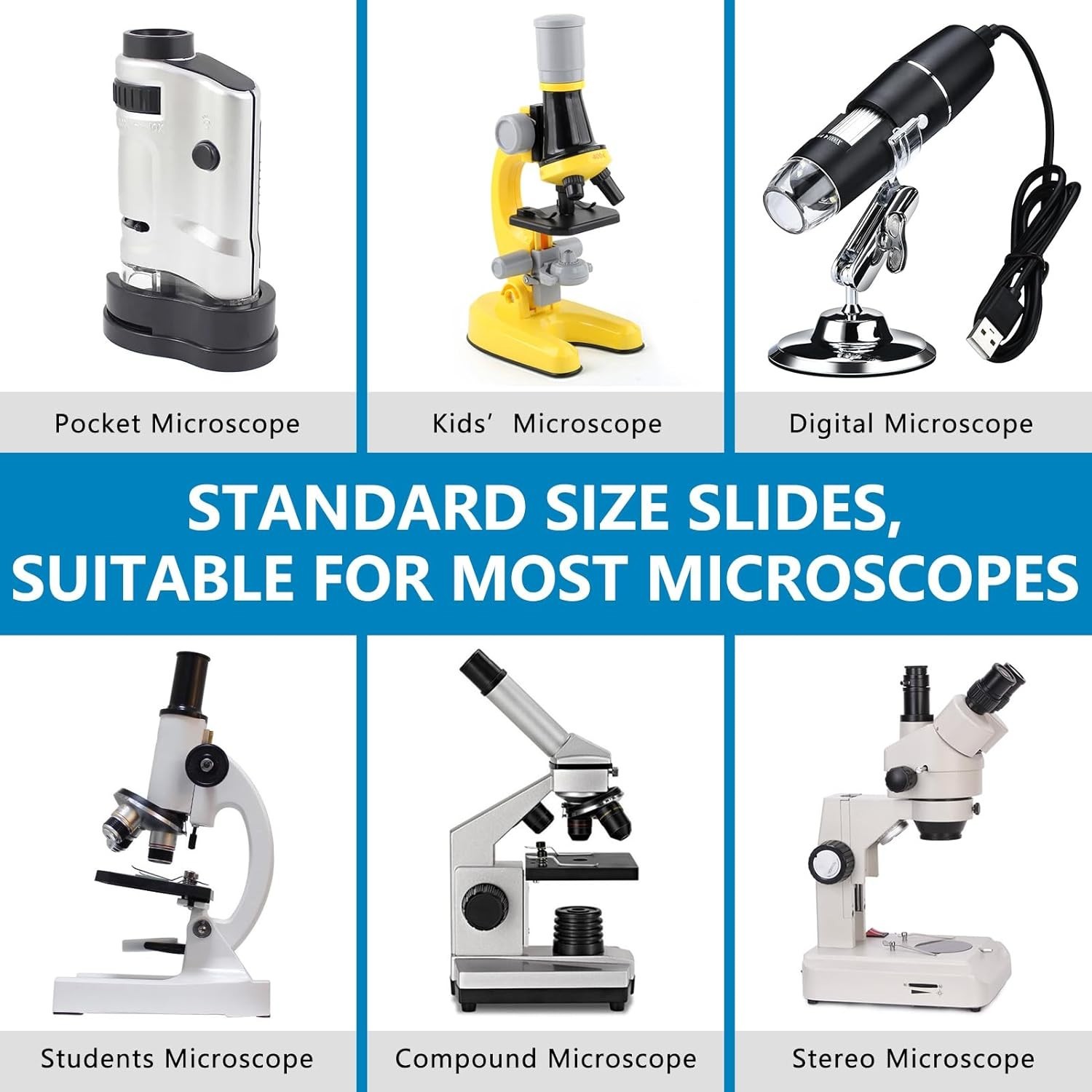 Diverse 60-Piece Microscope Slides Set for Kids - Perfect for Science Learning