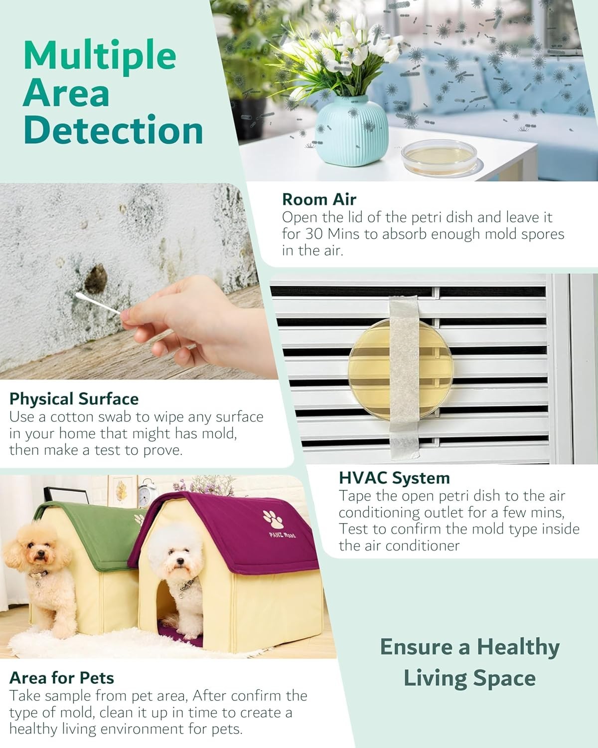 8 Mold Kit for DIY Home Detection - Air Quality & Surface Testing Made Easy