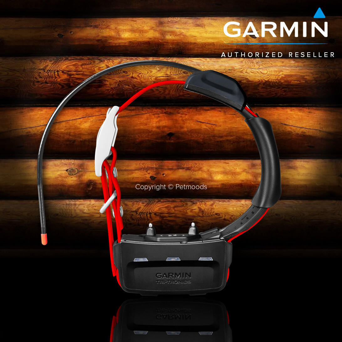 Garmin Alpha 100 / TT15X Dog Device GPS Collar Bundle